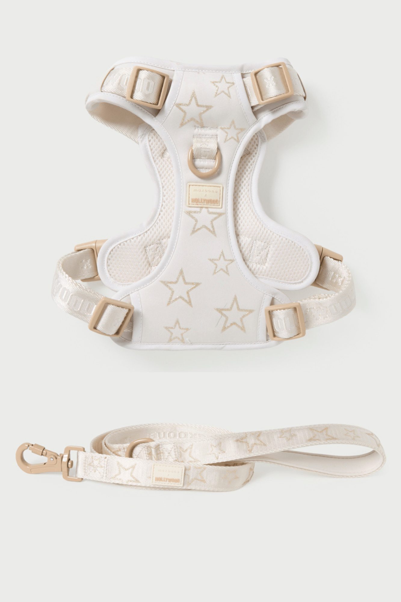 maxbone x Hollywood Walk Set