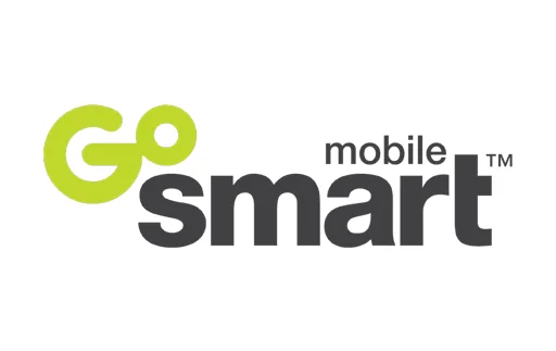 GoSmart 45.00 USD